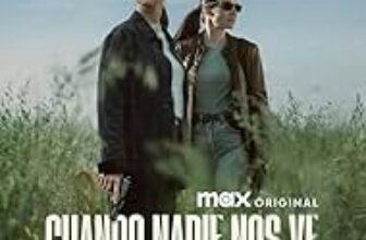 When No One Sees Us online subtitrat