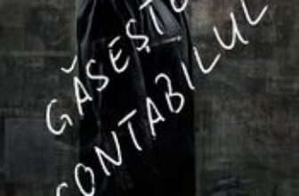 The Accountant 2 online subtitrat